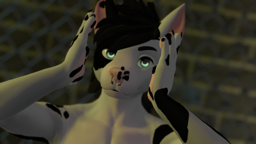 VRChat_2024-11-24_01-10-47.827_3840x2160.png