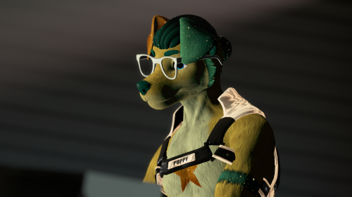 VRChat_2024-11-24_02-26-31.383_3840x2160.png