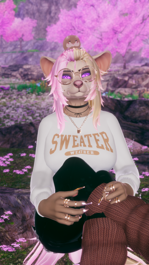 VRChat_2024-11-28_18-19-17.577_3840x2160.png