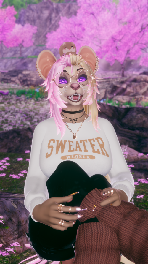 VRChat_2024-11-28_18-19-20.670_3840x2160.png
