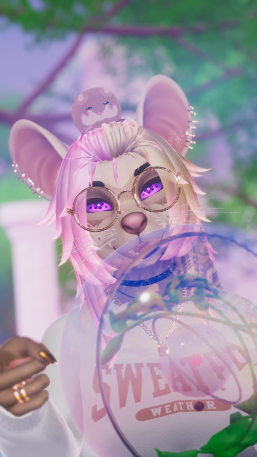 VRChat_2024-11-28_18-27-09.367_3840x2160.png