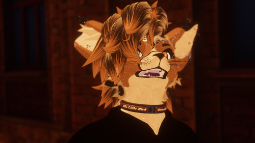 VRChat_2024-11-30_15-04-53.066_3840x2160.png