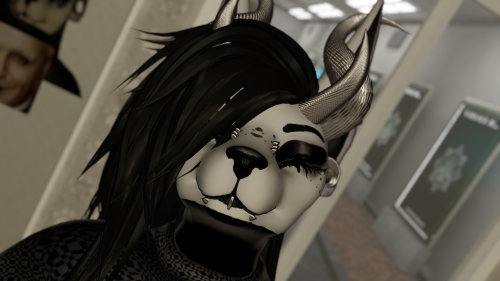 VRChat_2024-12-11_20-06-11.463_3840x2160.png