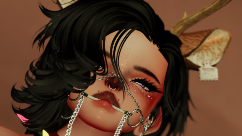 VRChat_2024-12-11_21-28-05.553_3840x2160.png