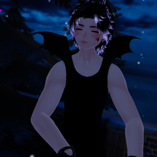 VRChat_2024-12-13_23-17-11.743_2160x3840