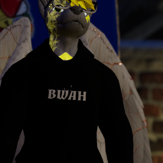 VRChat_2024-12-14_23-58-04.012_2160x3840