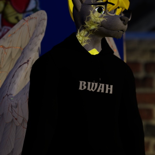 VRChat_2024-12-14_23-58-05.264_2160x3840