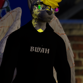 VRChat_2024-12-14_23-58-06.278_2160x3840