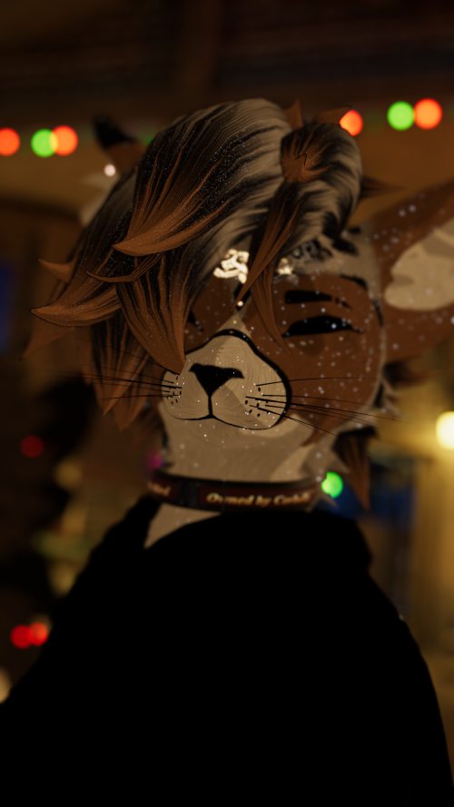 VRChat_2024-12-15_20-22-57.937_2160x3840.png