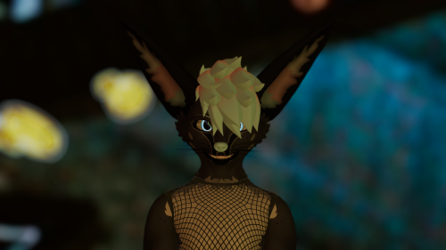VRChat_2024-12-15_22-21-46.045_3840x2160.png