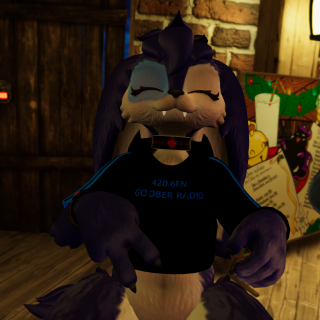 VRChat_2024-12-16_00-54-40.023_2160x3840