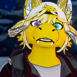 VRChat_2024-12-17_03-49-05.697_2160x3840