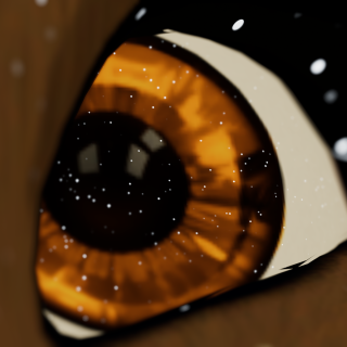 VRChat_2024-12-27_00-50-13.840_3840x2160