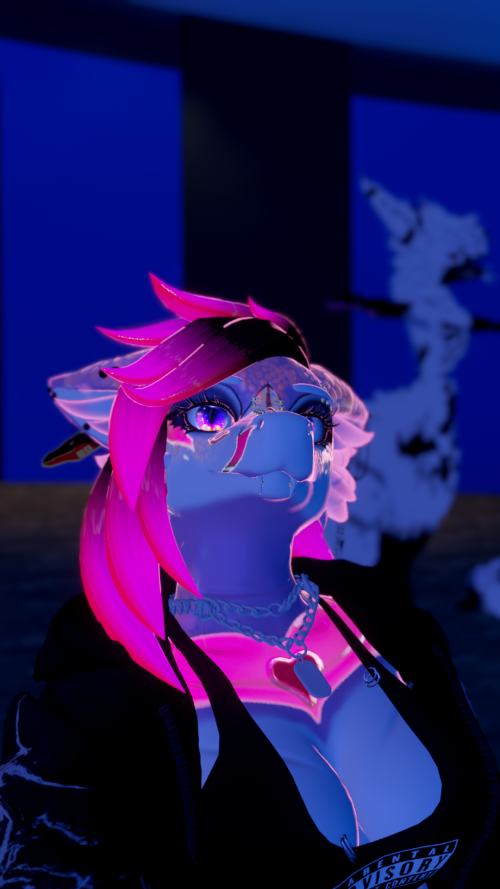 VRChat_2024-12-29_15-02-19.505_1920x1080.png