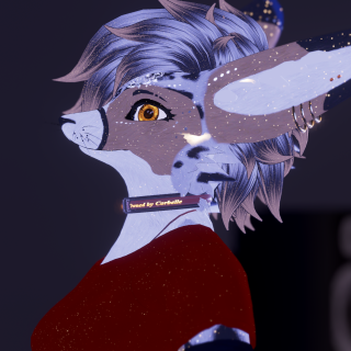 VRChat_2024-12-30_14-56-16.423_3840x2160