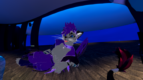 VRChat_2024-12-31_16-53-53.986_3840x2160.png
