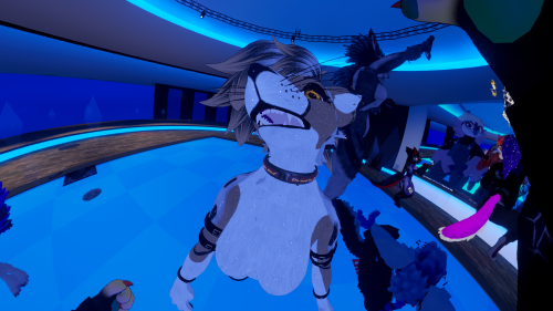 VRChat_2024-12-31_18-01-30.318_3840x2160.png
