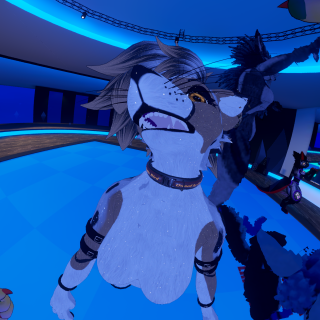 VRChat_2024-12-31_18-01-30.318_3840x2160