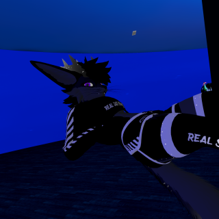VRChat_2024-12-29_22-53-23.745_3840x2160