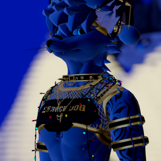 VRChat_2024-12-30_21-03-04.040_2160x3840