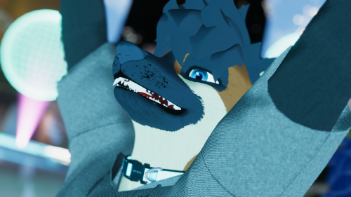 VRChat_2025-01-11_16-08-49.015_3840x2160.png