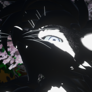 VRChat_2025-01-11_16-49-12.875_3840x2160