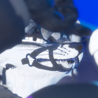 VRChat_2025-01-16_19-47-44.921_1920x1080