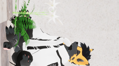 VRChat_2024-12-08_20-06-24.461_3840x2160.png