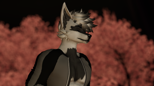 VRChat_2025-02-09_14-26-54.388_3840x2160.png