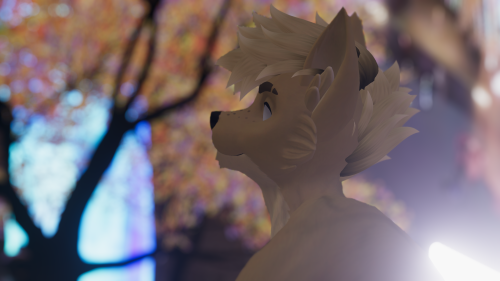 VRChat_2025-02-09_15-37-58.491_3840x2160.png