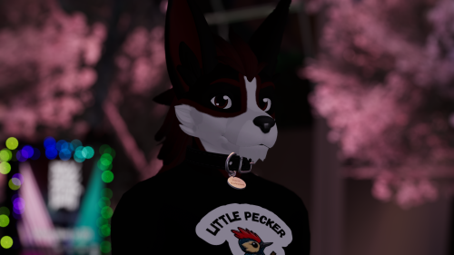 VRChat_2025-02-09_16-46-50.521_3840x2160.png