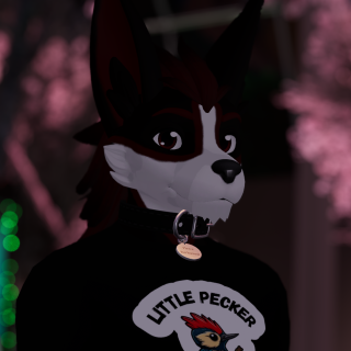 VRChat_2025-02-09_16-46-50.521_3840x2160