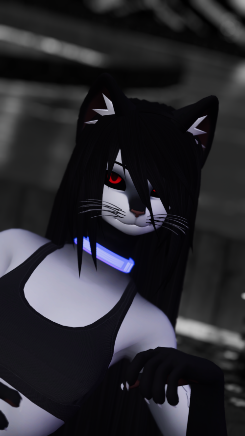VRChat_2025-02-14_19-49-44.053_3840x2160.png
