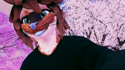 VRChat_2025-02-20_21-17-30.872_3840x2160.png