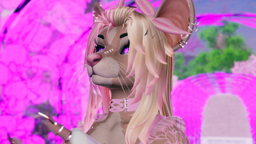 VRChat_2025-02-20_21-33-35.359_3840x2160.png