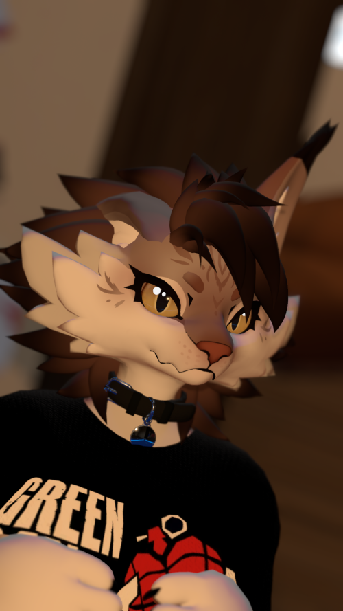 VRChat_2025-02-23_21-10-21.195_1920x1080.png