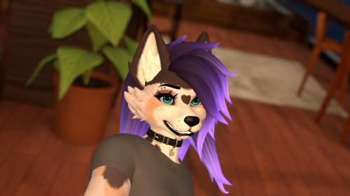 VRChat_2025-02-25_22-44-32.570_3840x2160.png