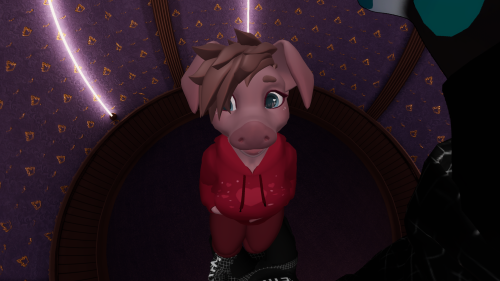 VRChat_2025-03-08_19-38-45.363_3840x2160.png