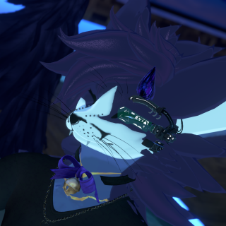 VRChat_2025-03-21_08-20-18.528_3840x2160
