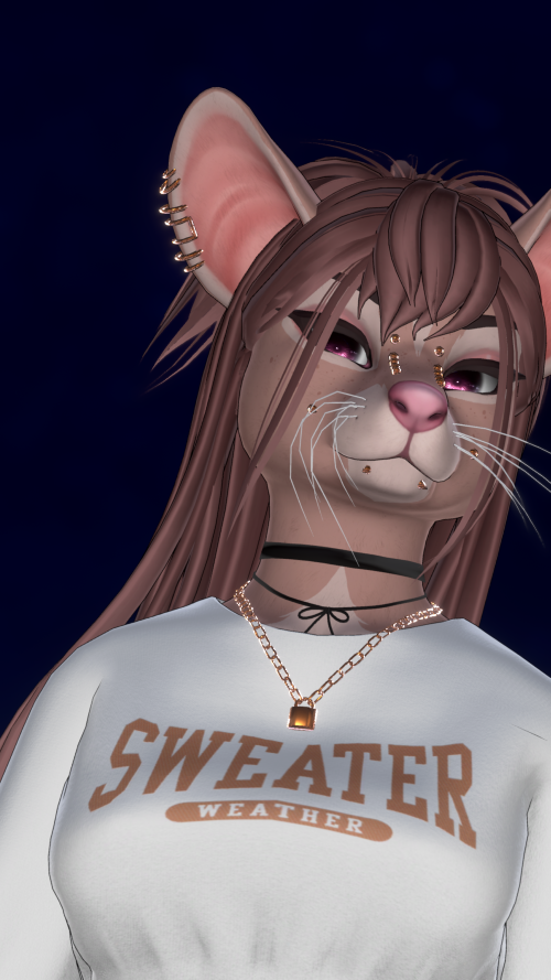 VRChat_2025-03-24_23-36-42.622_3840x2160.png