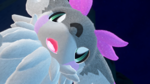 VRChat_2025-03-24_23-37-50.770_3840x2160.png