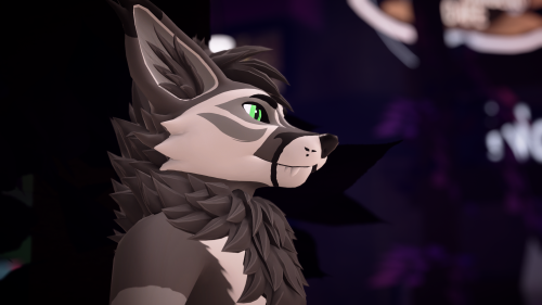 VRChat_2025-03-28_16-14-22.420_3840x2160.png