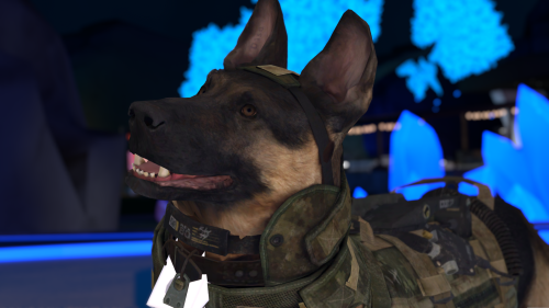 VRChat 2026 03 15 20 34 23.494 3840x2160