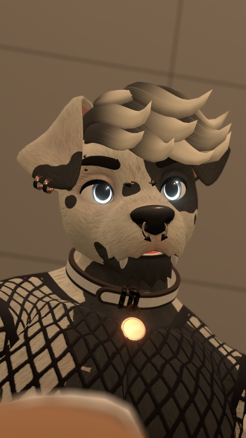 VRChat_2026-04-17_00-04-51.165_3840x2160.png