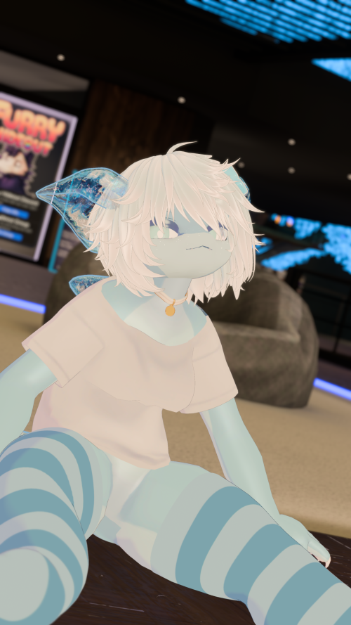 Shark Chill