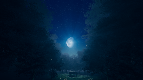 MOONLIGHT