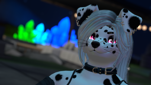 VRChat_2026-05-15_17-53-08.602_3840x2160.png
